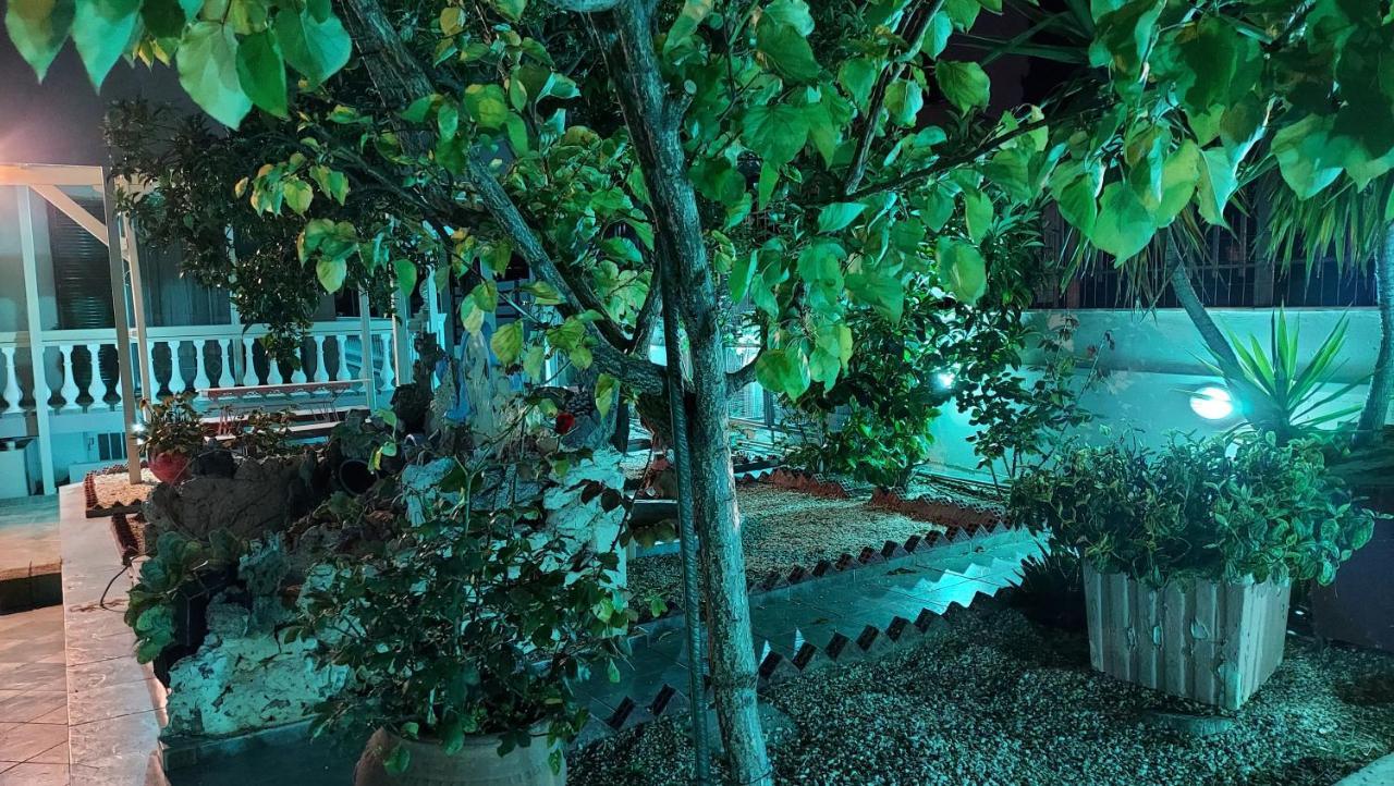 Cozy Airport Studio 2 Αρτέμιδα Εξωτερικό φωτογραφία
